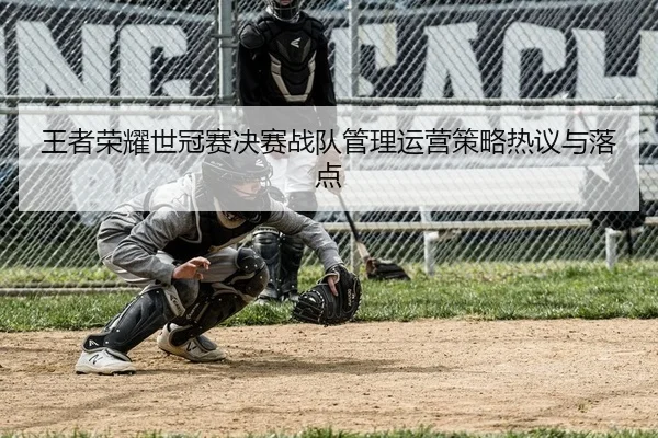 王者荣耀世冠赛决赛战队管理运营策略热议与落点
